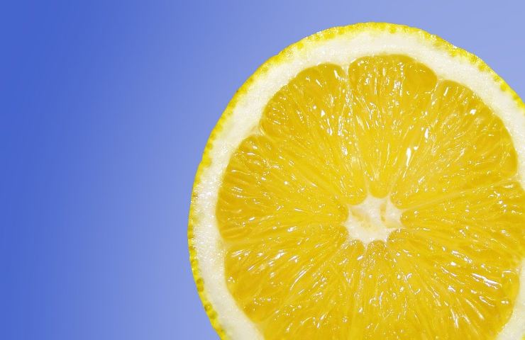 Ortensie succo di limone parassiti