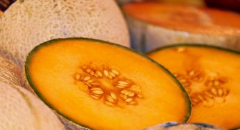 Melone arancione, è consigliato? Quante calorie contiene