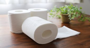 Carta igienica, sai quanti alberi vengono abbattuti per produrla?