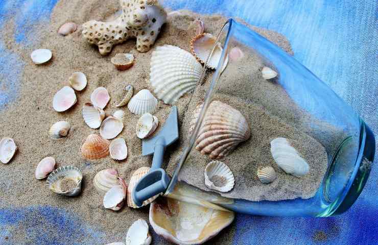 Spiaggia multe leggi sabbia conchiglie 