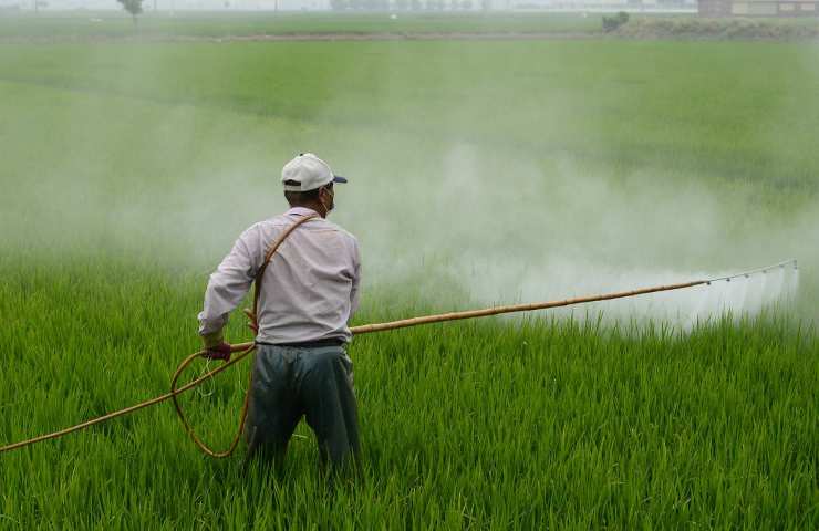 agricoltura pesticidi frutta dati