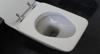 Wc, cattivo odore: come poter risolvere