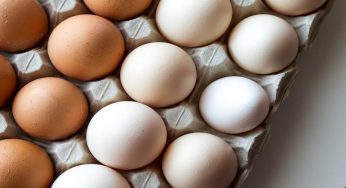Uova bianche o marroni: qual è la differenza?