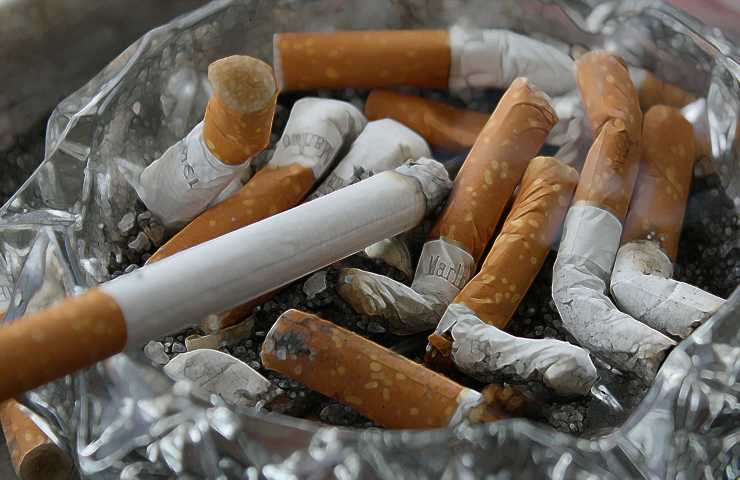 sigarette malattie studio durata vita