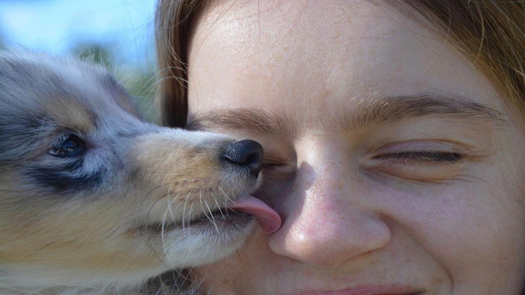 bacio cane uomo rischi salute