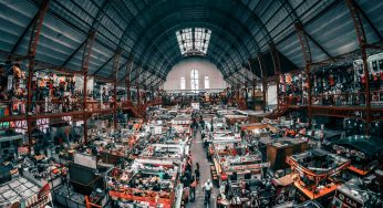 Wet market di contrabbando, nuova tecnica DNA per identificare specie protette