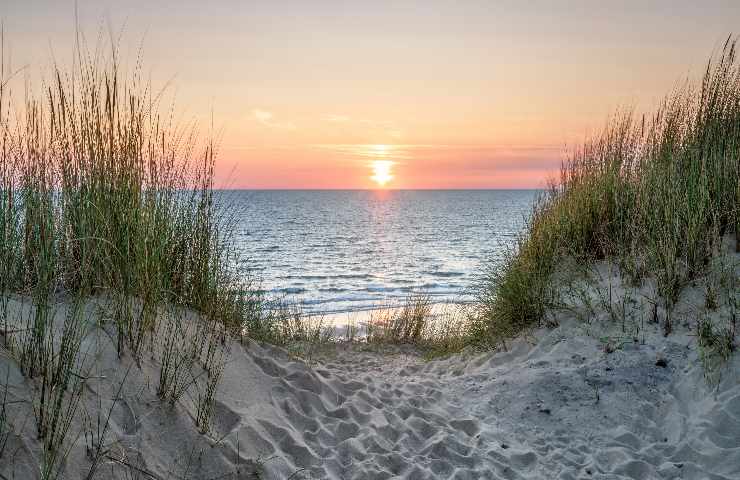 spiaggia divieti legge demanio pubblico