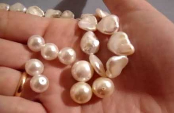 Alcune perle prodotte da molluschi