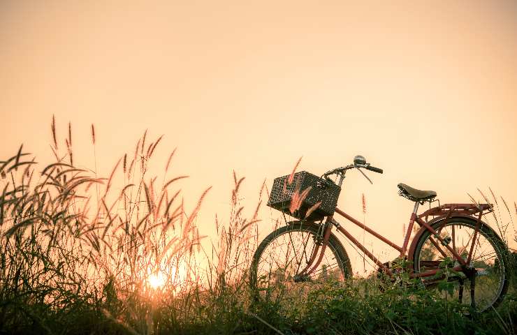 regole trasporto pacchi oggetti bicicletta multa