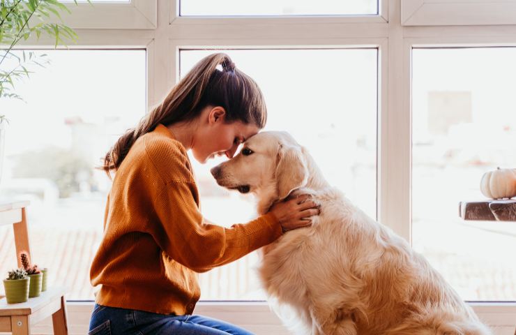 Cane mangia feci