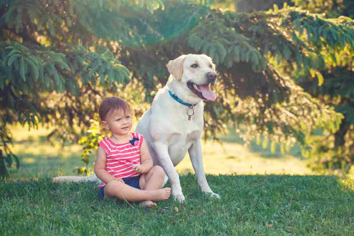 Cani ideali bambini