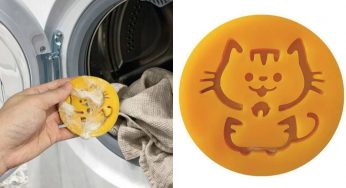 Cani e gatti, con 2,50 € risolvi il problema peli in lavatrice