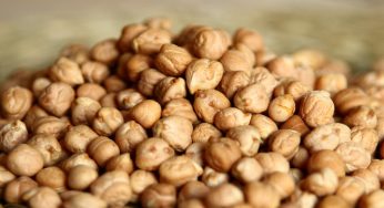 Ceci, allerta mondiale: cosa sta succedendo causa clima