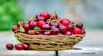 Ciliegie: quando possono diventare seriamente velenose