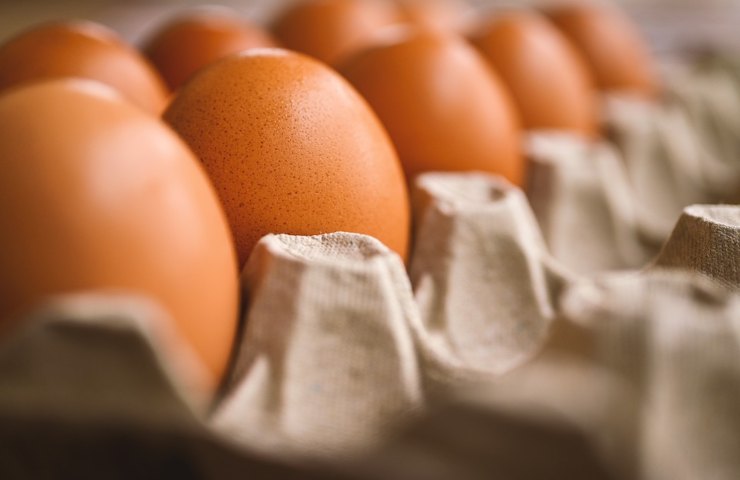 Delle uova conservate nel loro contenitore