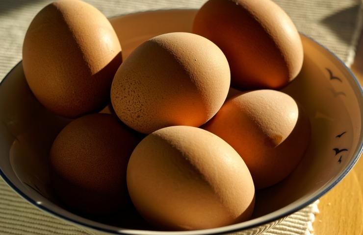 Delle uova tenute in una scodella larga
