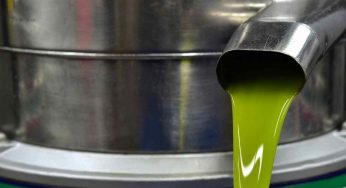 Come conservare l’olio extravergine e gli errori da evitare