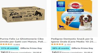 Cani e gatti, tanti prodotti in offerta col Prime Day: l’elenco