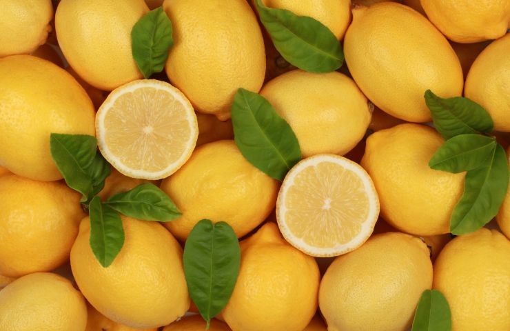 limoni pulizia forno