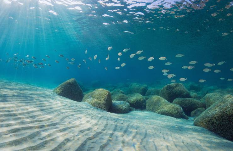 Mar Mediterraneo giornata internazionale