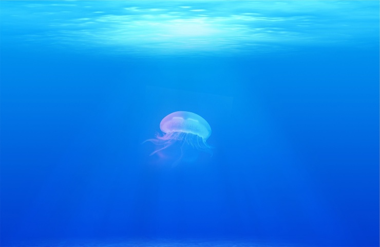 Leggenda meduse
