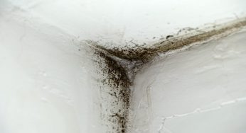 Muffa in camera da letto, attenzione: cosa può accadere