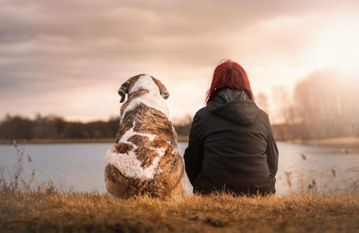 Un cane ed una donna l'uno accanto all'altra