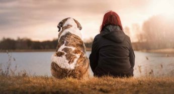 Cani da supporto emotivo: queste le 10 migliori razze