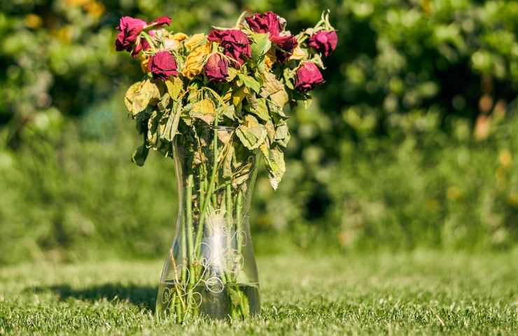 Un mazzo di fiori avvizziti in un vaso