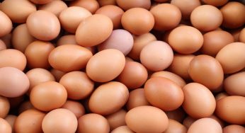 Uova refrigerate: perché potrebbero essere pericolose