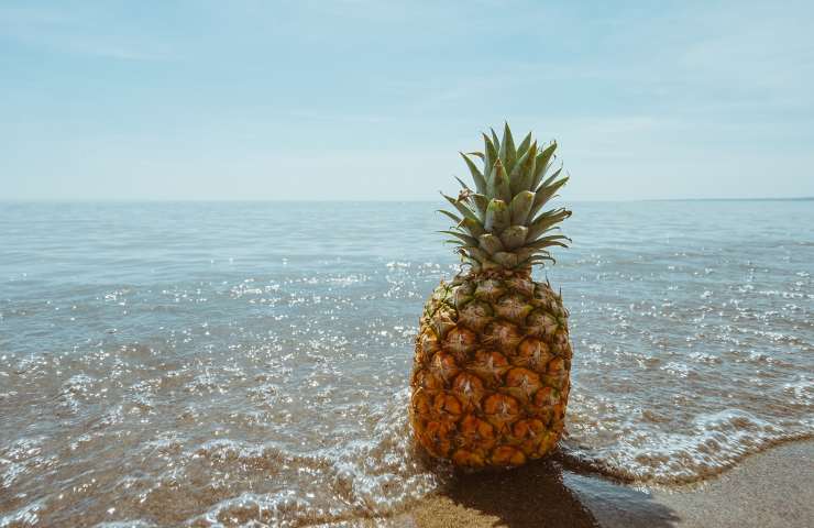 ananas brucia grassi