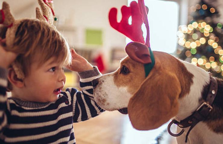 Cane e bambino 