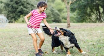 Cane che morde un bambino in casa: quando può accadere