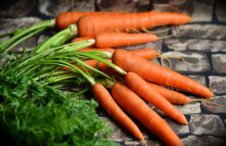 carota proprietà benefiche per l'organismo