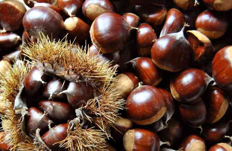 castagne frutta secca