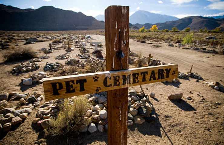 cimitero per animali