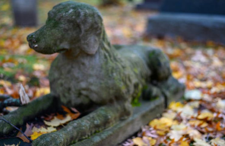 cimitero per animali