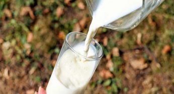 Come pesare il latte senza bilancia: puoi fare così