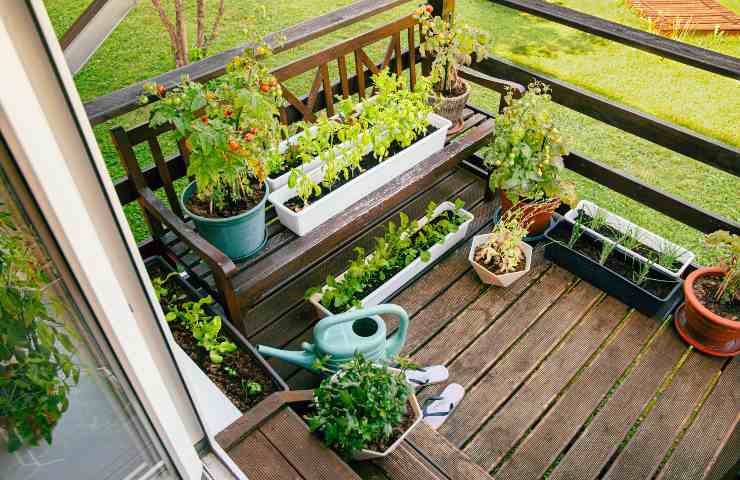 Orto sul balcone: come progettarlo e organizzarlo