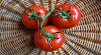 Pomodoro: tutte le proprietà benefiche di questo ortaggio
