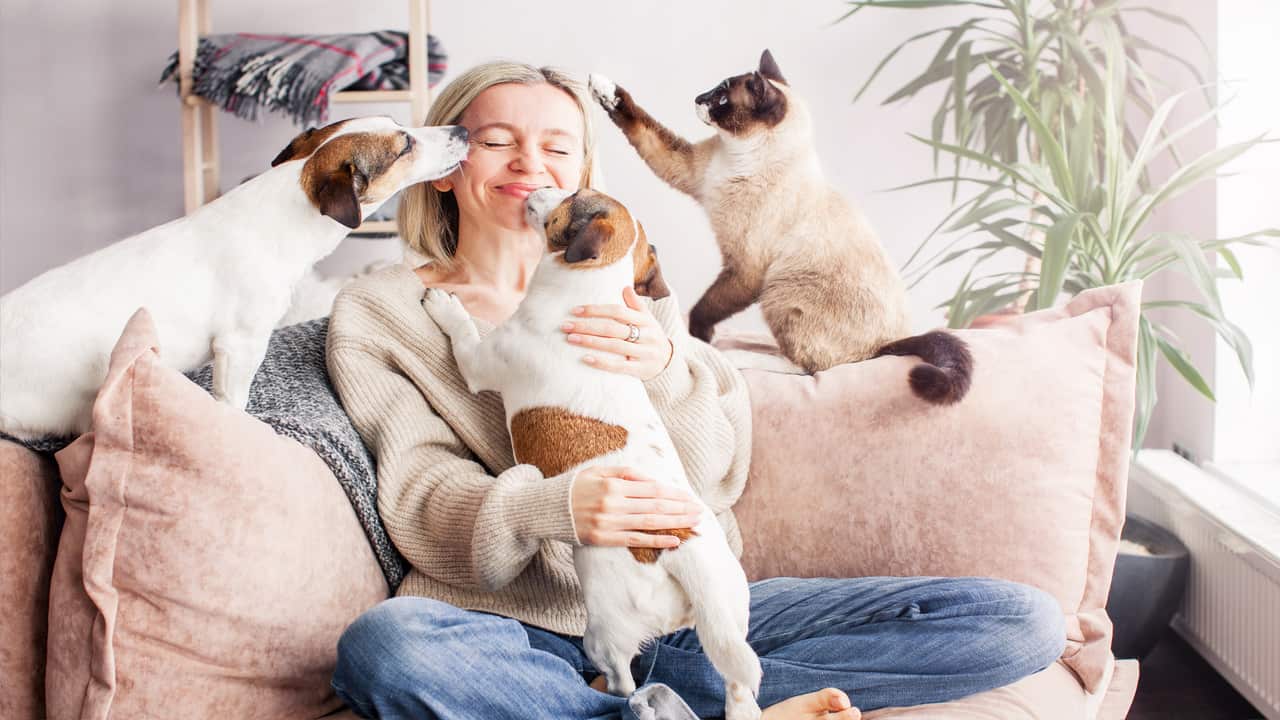 Quanti animali si possono tenere in casa? Cosa dice la legge
