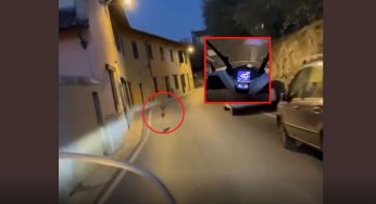 “Lo mangiamo?”: Capriolo terrorizzato inseguito in scooter | Video