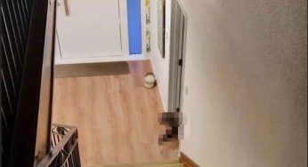 Rientrano a casa e trovano un intruso inimmaginabile