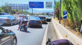 Bloccano il traffico in autostrada per salvarlo: vivo per miracolo