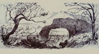 Nove animali nascosti e una persona, riesci a trovarli? | Test