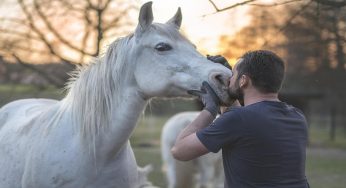 Intenzioni positive o negative nelle parole: come gli animali reagiscono