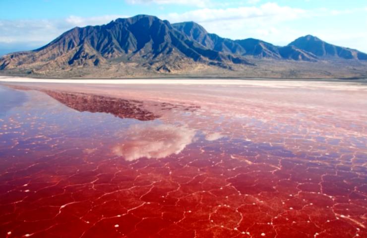 Acqua rossa, il perché del fenomeno