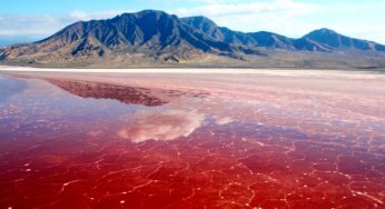 Perché molti mari e fiumi stanno diventando di color rosso