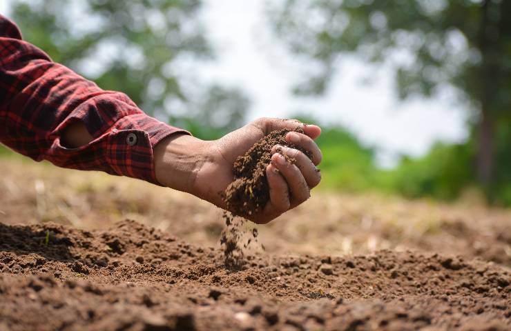 acqua terreno sabbioso caratteristiche