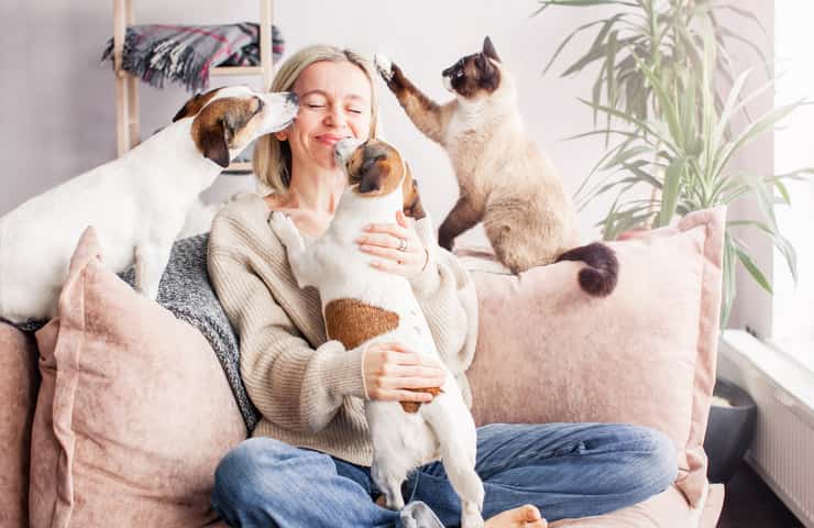 Quanti animali domestici si possono tenere in casa?